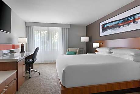 Room, 1 King Bed