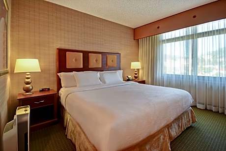 1 King Bed Suite-Nonsmoking