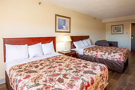 Deluxe Single Room