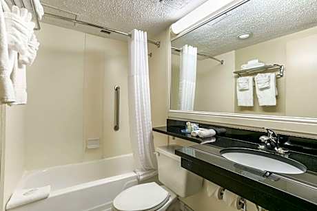 1 King Bed, Suite, Nonsmoking