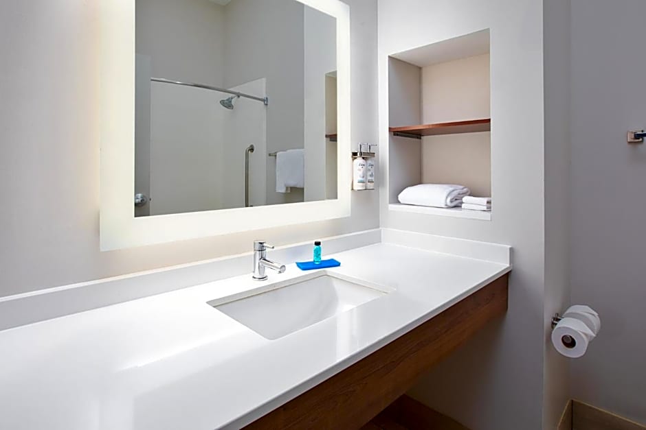 Holiday Inn Express Hotel & Suites Athens