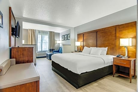 King Suite with Sofa Bed - Non-Smoking