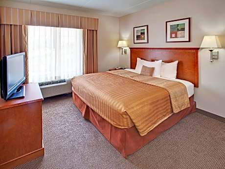 1 King 1 Bedroom Suite Comm Access Tub