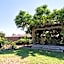 Loba Luna Bed & Breakfast