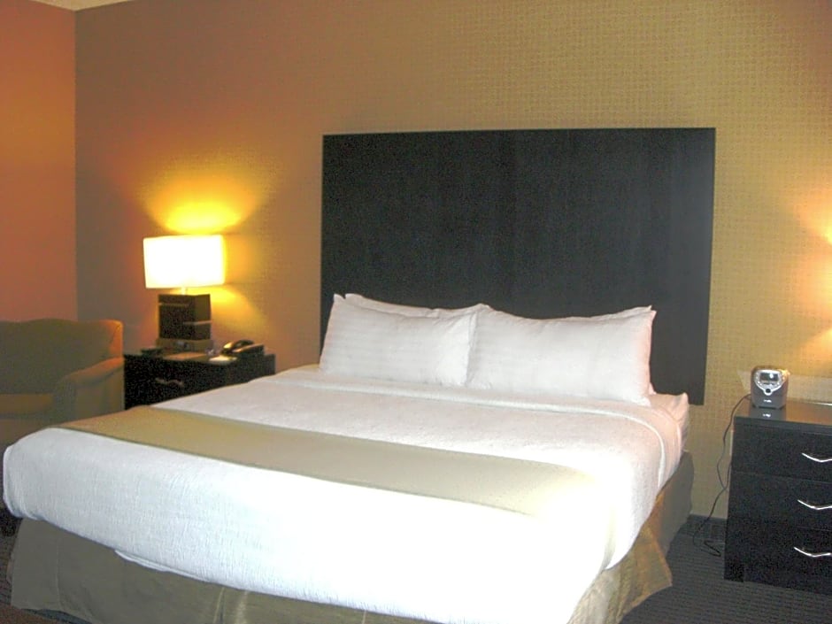 Holiday Inn St. Paul Northeast - Lake Elmo