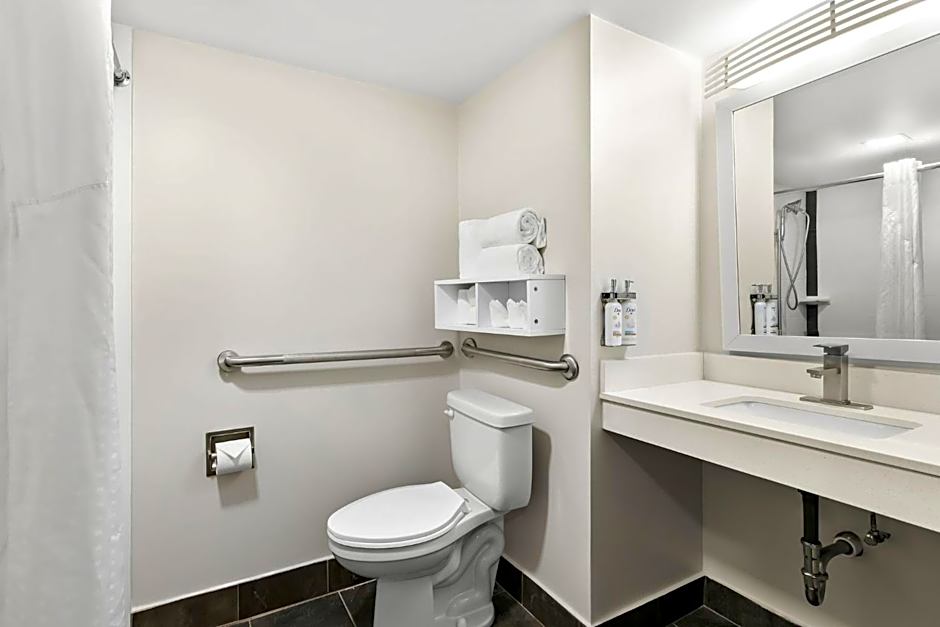 Holiday Inn Express Atlanta Nw - Galleria Area