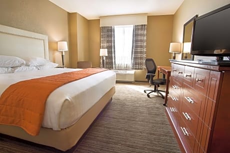 Deluxe King Room - Accessible, Roll-in Shower