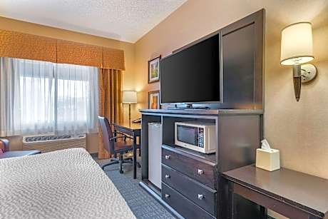 King Room - Pet Friendly/Non-Smoking