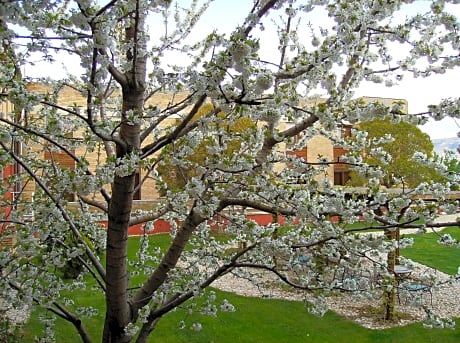 Hotel Yamaguchi - Alojamientos en SANGUESA