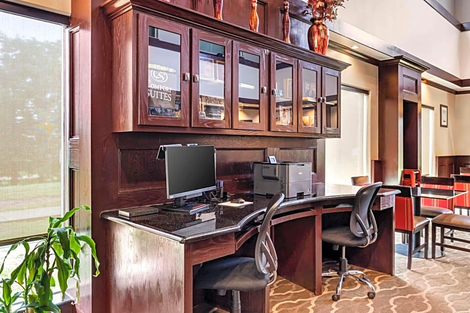 Comfort Suites Palestine