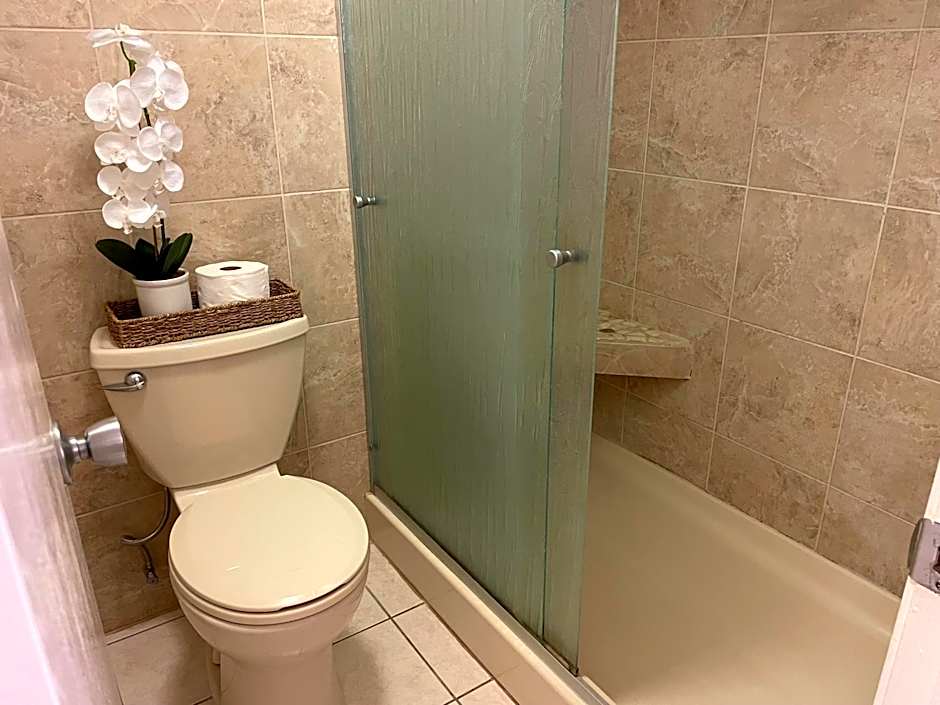 South Maui Ocean View Condo with Free Wifi and Parking