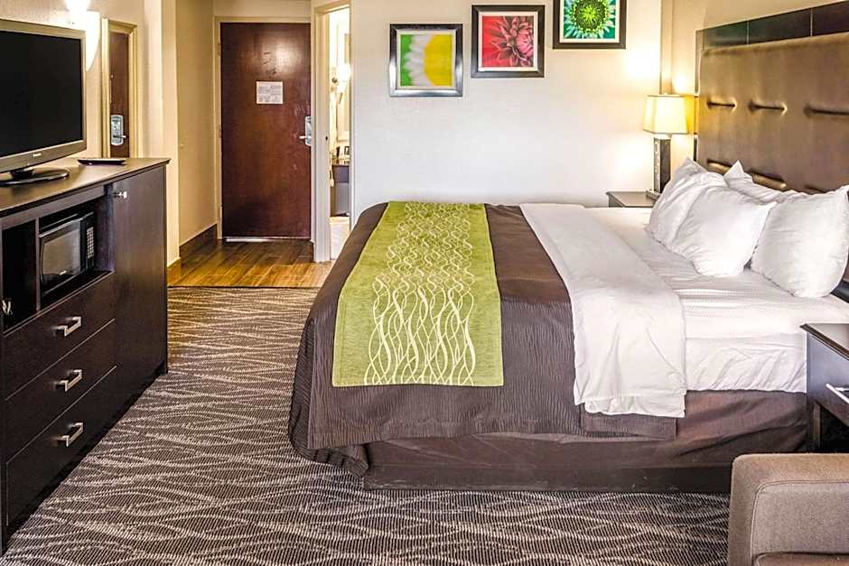 Comfort Inn Downtown Charleston
