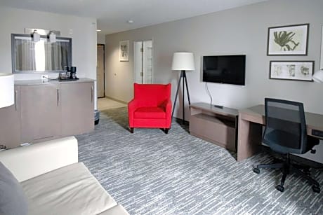 1 King Bed, Suite, Nonsmoking