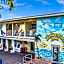 Hollywood Beach Seagull