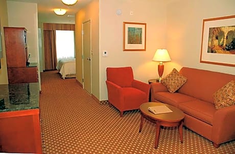 1 King Bed Junior Suite With Sofabed