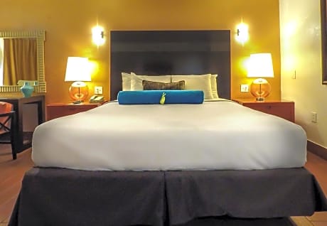 King Room - Disability Access