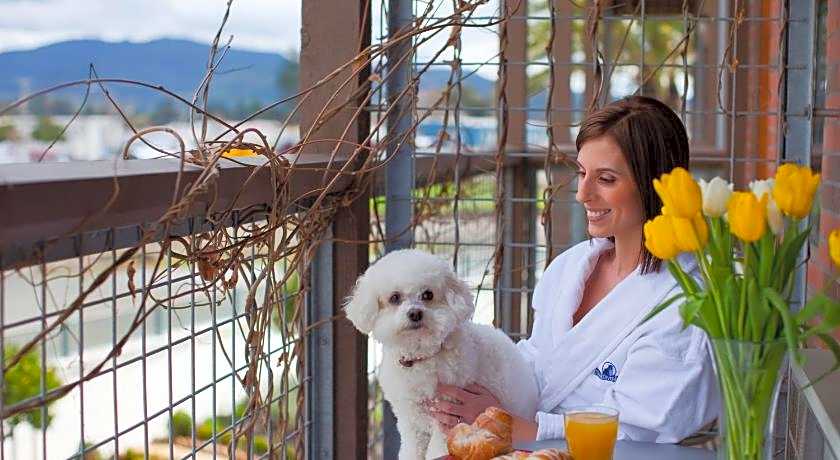 Napa River Inn