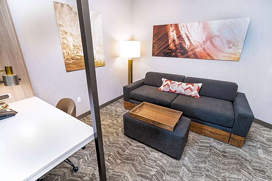 SpringHill Suites by Marriott Ontario Airport/Rancho Cucamonga