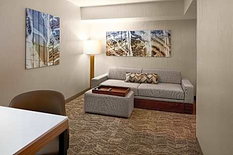 Studio, 1 King, Trundle Bed, Oceanfront, Low Floor, Balcony
