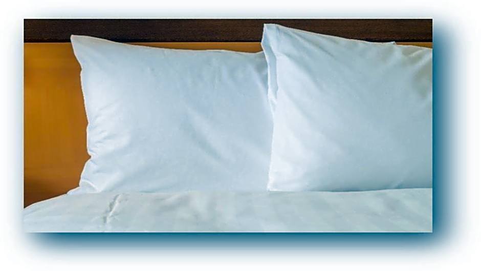 Holiday Inn Charleston-Riverview