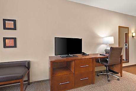 1 King Bed, Suite, Nonsmoking