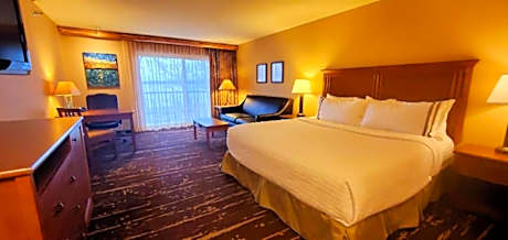 Suite-1 King Bed, Non-Smoking, Separate Bedroom, Sofabed, Dry Bar, Microwave And Refrigerator