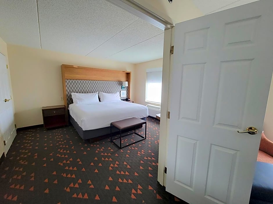 Holiday Inn Hotel & Suites Ann Arbor University of Michigan Area