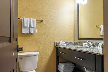 1 Queen Bed, Suite, Nonsmoking