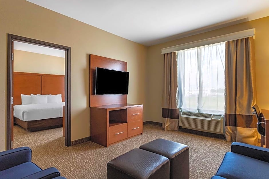 Comfort Suites Near Texas Medical Center - NRG Stadium