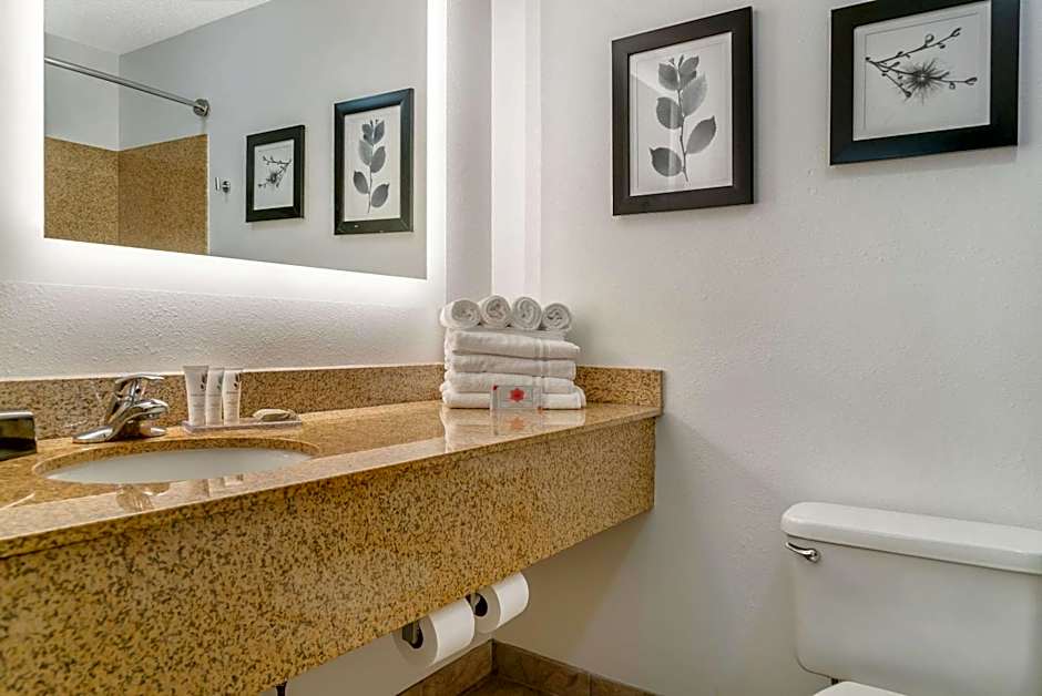 Country Inn & Suites by Radisson, Toledo South, OH