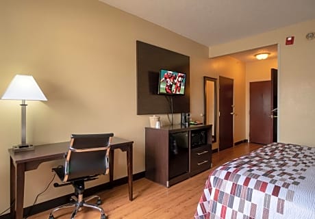 Suite King Room Non-Smoking