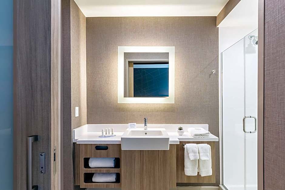 SpringHill Suites by Marriott Columbia