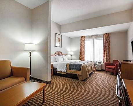 1 King Bed, Suite, Nonsmoking