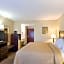 Quality Inn Troutville
