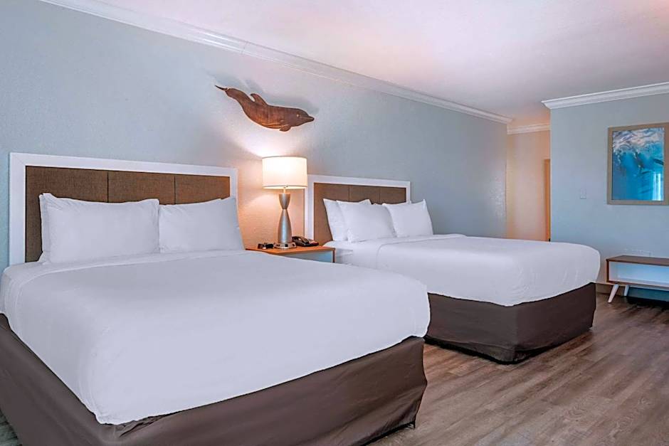 Winter the Dolphin's Beach Club, Ascend Hotel Collection