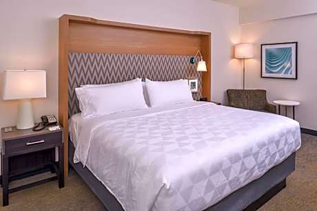 King Suite with Sofa Bed