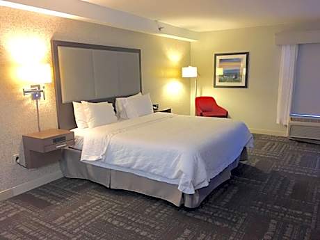 One-Bedroom King Suite with Fireplace - Non-Smoking