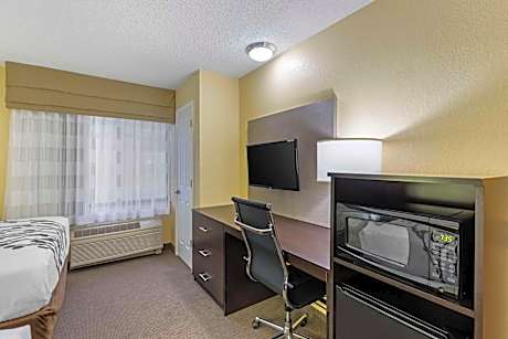 King Room - Non-Smoking/Pet Friendly