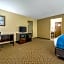Comfort Inn Matteson