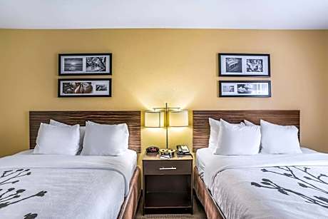 2 Queen Beds Nonsmoking Accessible