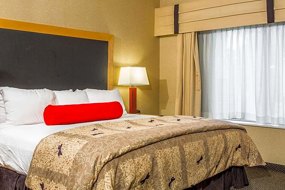 Cambria Hotel Raleigh-Durham Airport