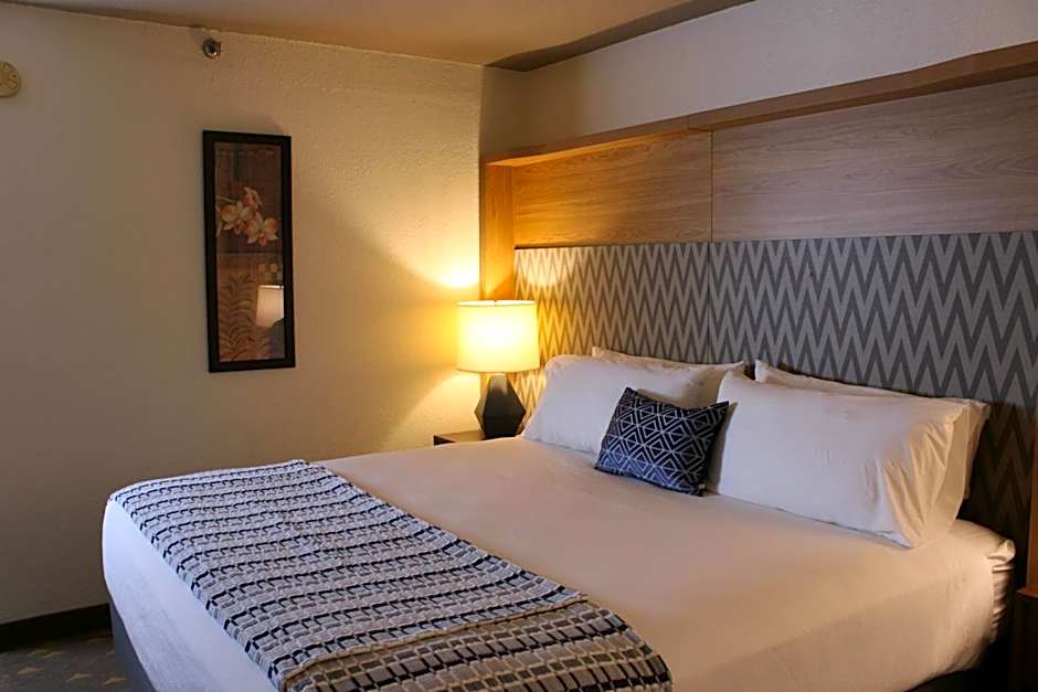 Wyndham Flint MI/Grand Blanc/Bishop Airport/Conference Ct