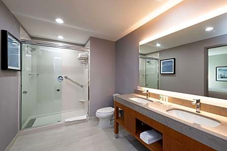 One-Bedroom King Suite with Sofa Bed