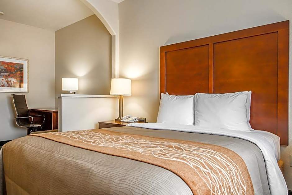 Comfort Inn & Suites Oakland