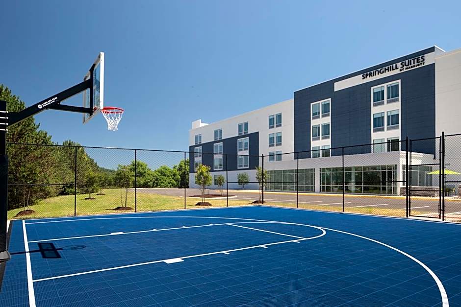 SpringHill Suites by Marriott Roanoke North