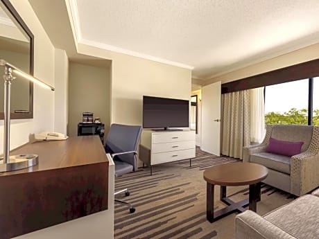 1 King 2 Room Suite