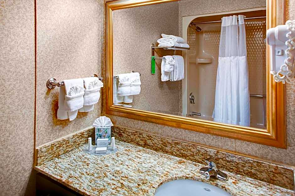 TownePlace Suites by Marriott Atlanta Buckhead