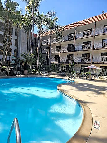 1 bedroom Suite