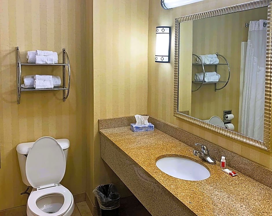Rodeway Inn & Suites