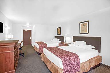 1 King Bed, Non-Smoking